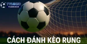 Cách đánh kèo rung mang tỷ lệ thắng cao