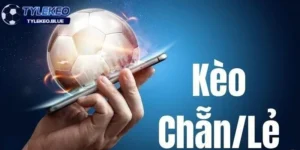 Kèo chẵn lẻ là gì?