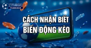 Lý do đằng sau sự biến động tỷ lệ kèo của tỷ lệ nhà cái