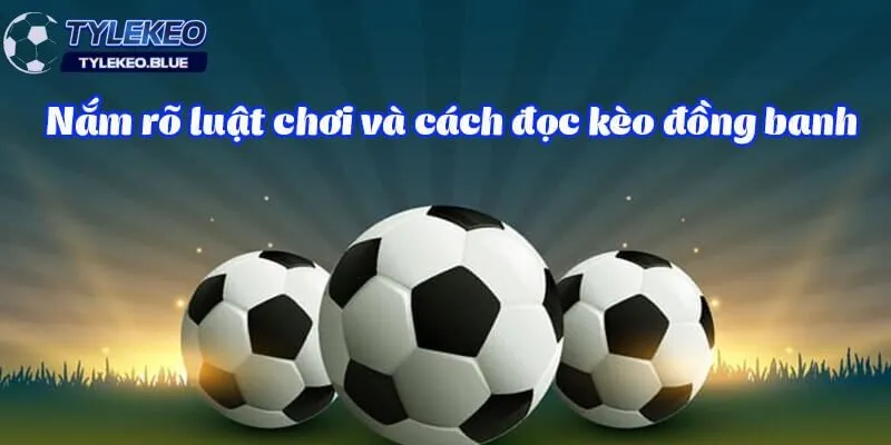 Nắm rõ luật chơi là chiến thuật soi kèo hiệu quả