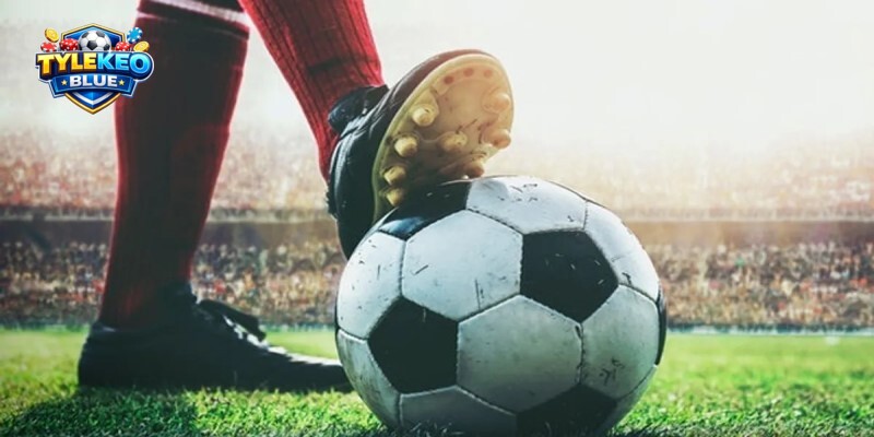 Cập nhật nhanh chóng về thông tin xếp hạng, kèo cược