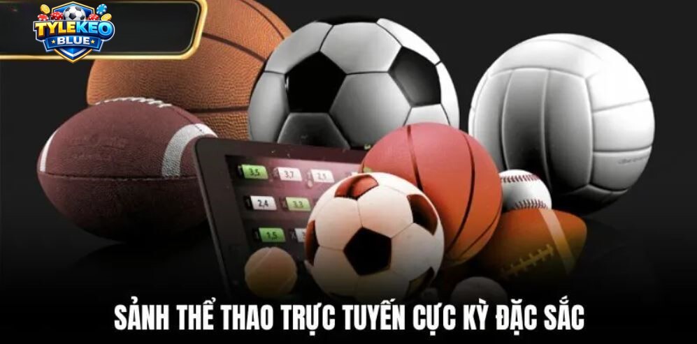 Sảnh thể thao chuyên nghiệp của nhà cái Haywin