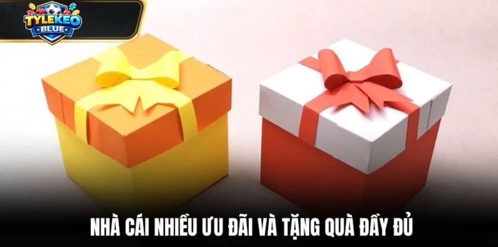 Nhiều ưu đãi tặng thực tế