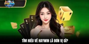 Giới thiệu về thương hiệu uy tín HAYWIN