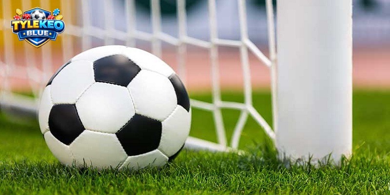 Đánh giá và phân tích nhiều yếu tố kèo 2.5