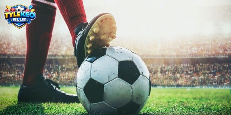 Lịch thi đấu đá bóng là thông tin rất là quan trọng