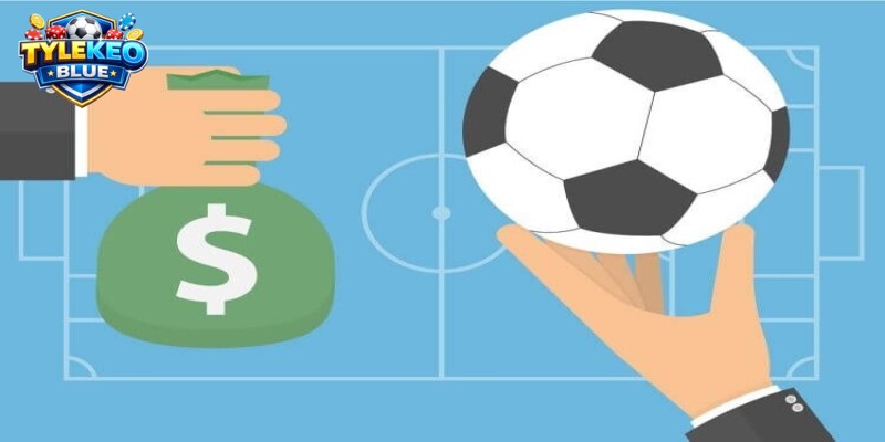 Lợi ích hấp dẫn khi cá cược Livescore