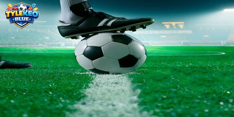 Kinh nghiệm cá cược Livescore hiểu quả