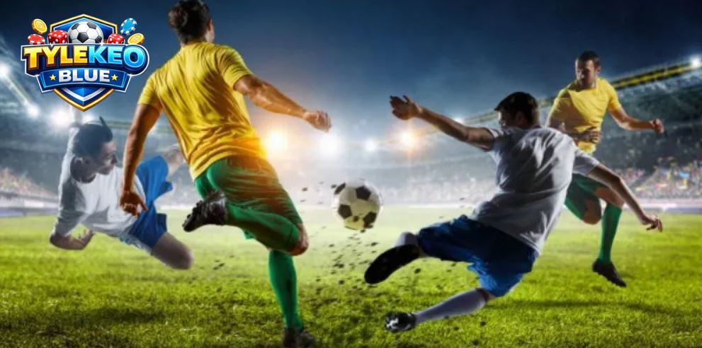 Đa dạng thông tin bóng đá cập nhật liên tục.