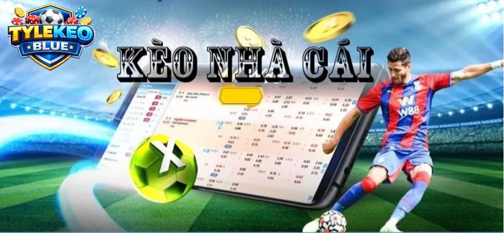 Địa chỉ cung cấp kèo cược nhanh chóng, chuẩn xác.