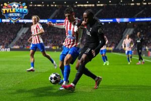 Nhận định từ cao thủ cá cược tỷ lệ kèo nhà cái