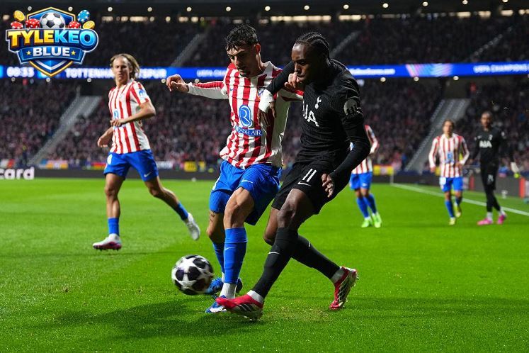 Nhận định từ cao thủ cá cược tỷ lệ kèo nhà cái