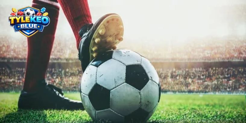 Các loại Tỷ lệ kèo nên chơi