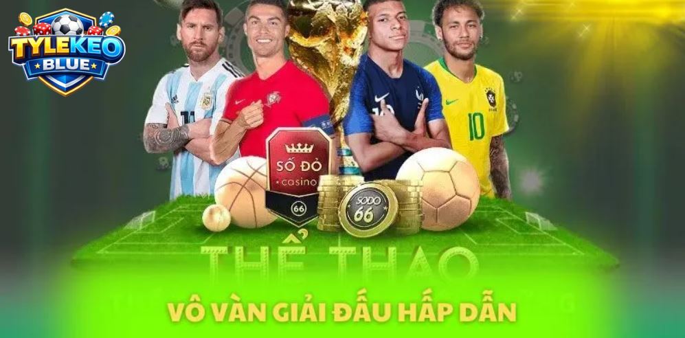 Vô vàn giải đấu hấp dẫn.