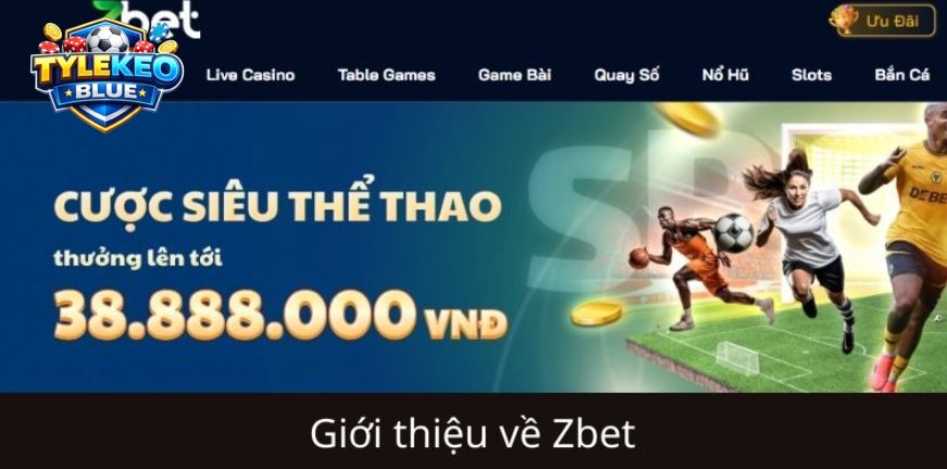 Để hiểu vì sao thương hiệu này lại thu hút đông đảo người chơi đến vậy, chúng ta cần nhìn tổng thể những giá trị và trải nghiệm mà nền tảng mang lại cho cộng đồng cá cược trên toàn thế giới.